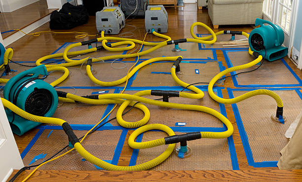 Professional Basement Flood Cleanup technician working in Jonesboro, GA
